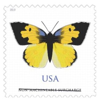 California Dogface Butterfly Stamp (Non‑Machinable for Square Envelopes)