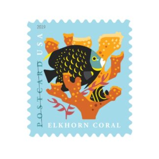 USPS Forever Coral Reefs Postcard Stamps