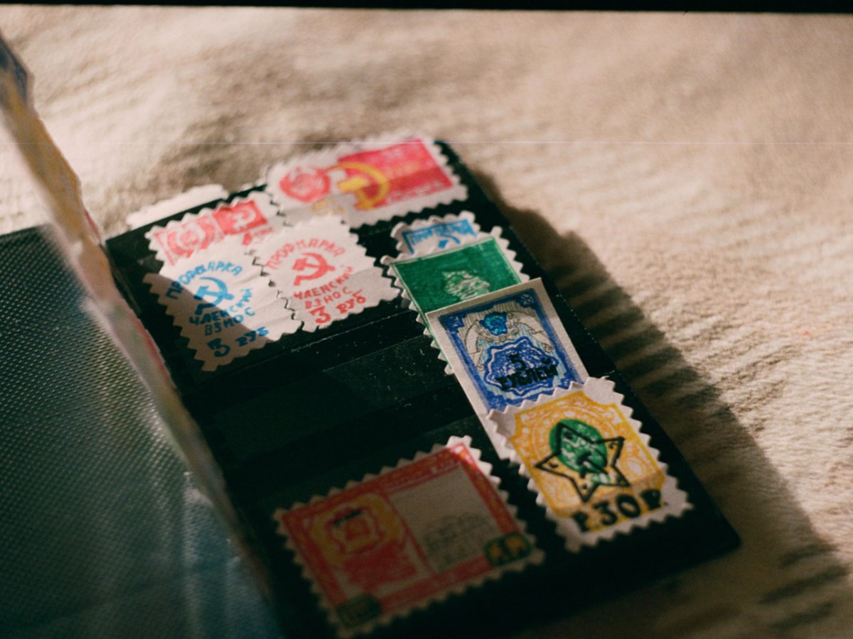 Is Your Giving-Season Postage Actually Taking Food Off the Table? The Blunt Non-Profit Audit