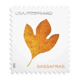 vibrant leaves postcard stamps wholesale discount_1