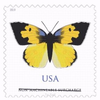 Discount California Dogface Stamps Premium Stationery & Elegant Event Mailing Pack || Non-Machineable® 100Pcs