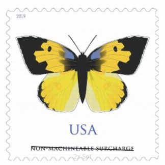 Bulk California Dogface Stamps Premium Stationery & Elegant Event Mailing Pack || Non-Machineable® 200Pcs