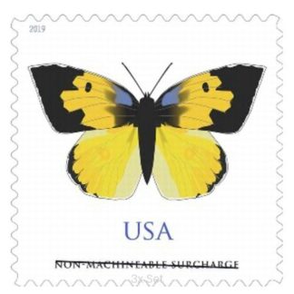 Cheap California Dogface Stamps Seasonal Route Marketing & Service Promotion Pack || Non-Machineable® 300Pcs