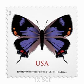 Low Cost Colorado Hairstreak Stamps Agency-Level Renewals & Compliance Logistics Pack || Non-Machineable® 100Pcs