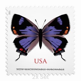 Authentic Colorado Hairstreak Stamps Civic Engagement & Voting Ballot Logistics Pack || Non-Machineable® 200Pcs
