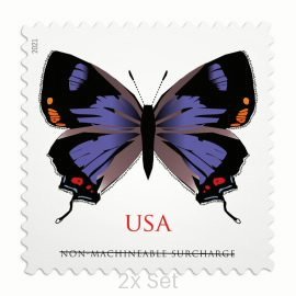 Best Price Colorado Hairstreak Stamps Formal Legal Notices & Professional Document Delivery || Non-Machineable® 200Pcs