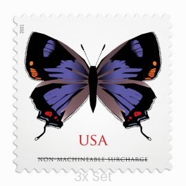 Wholesale Colorado Hairstreak Stamps Institutional Support & Donor Stewardship Pack || Non-Machineable® 300Pcs