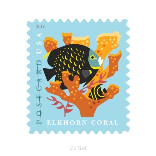 Discount Coral Reefs Forever Stamps Agency-Level Renewals & Compliance Logistics Pack || Postcard® Postage 200Pcs