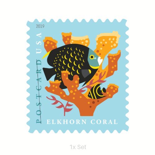 Bulk Coral Reefs Forever Stamps Community Outreach & Ministerial Support Pack || Postcard® Postage 100Pcs