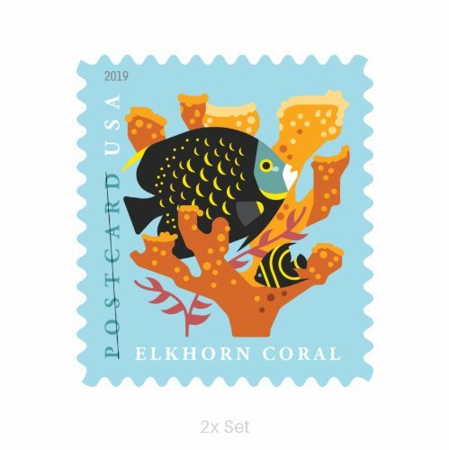 Economy Coral Reefs Forever Stamps Professional Business Logistics & Bulk Mailing Pack || Postcard® Postage 200Pcs