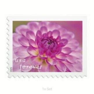 Cheap Dahlias Forever® stamps Institutional Support & Donor Stewardship Pack || 100Pcs (5 books)