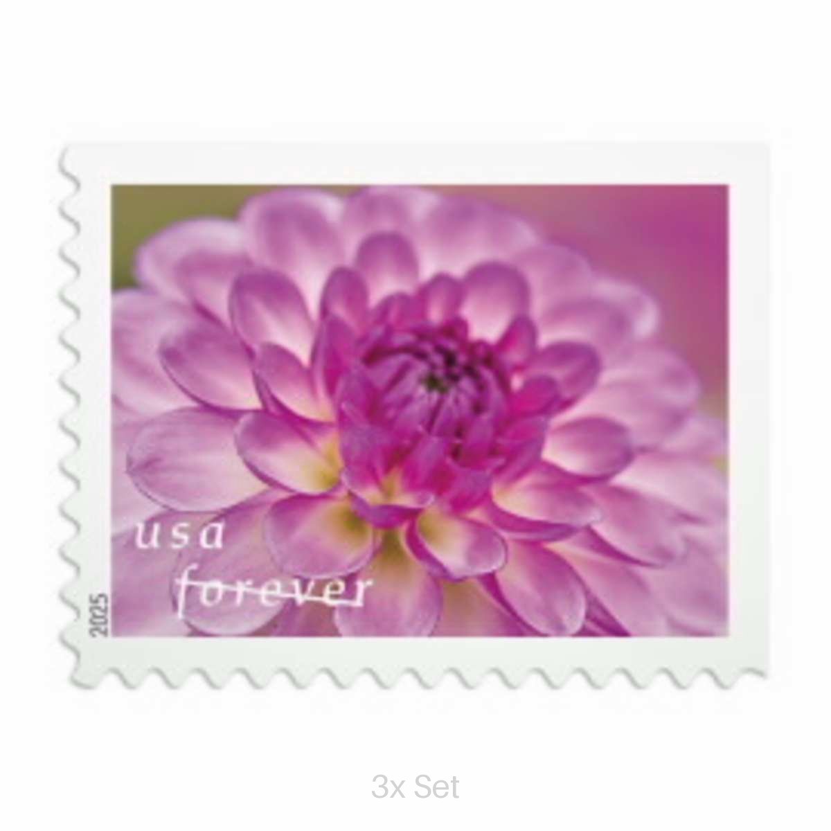 Authentic Dahlias Forever® stamps Quarterly Seasonal Outreach & Greeting Fulfillment Pack || 300Pcs (15 books)