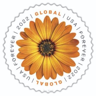 Best Price Global African Daisy Stamps Civic Engagement & Voting Ballot Logistics Pack || International® Postage 100Pcs