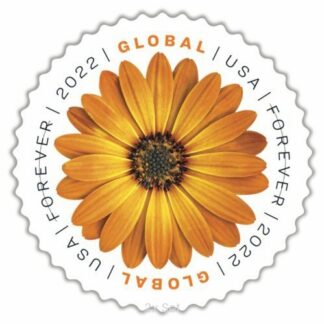 Economy Global African Daisy Stamps Community Outreach & Ministerial Support Pack || International® Postage 200Pcs