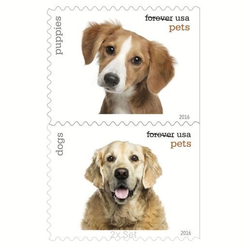 Best Price Pets Stamps Community Outreach & Ministerial Support Pack || 200Pcs (10 books)