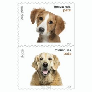 Bulk Pets Stamps Fiscal Reporting & Tax Season Compliance Logistics || 300Pcs (15 books)