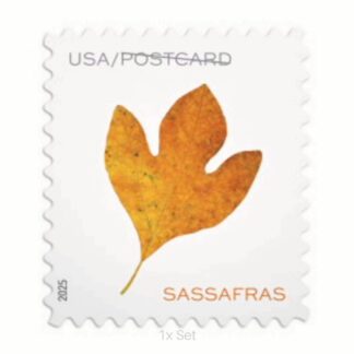 Economy Vibrant Leaves Postcard Stamps Civic Engagement & Voting Ballot Logistics Pack || Postcard® Postage 100Pcs