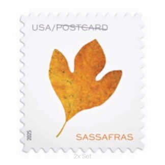 Low Cost Vibrant Leaves Postcard Stamps Community Outreach & Ministerial Support Pack || Postcard® Postage 200Pcs