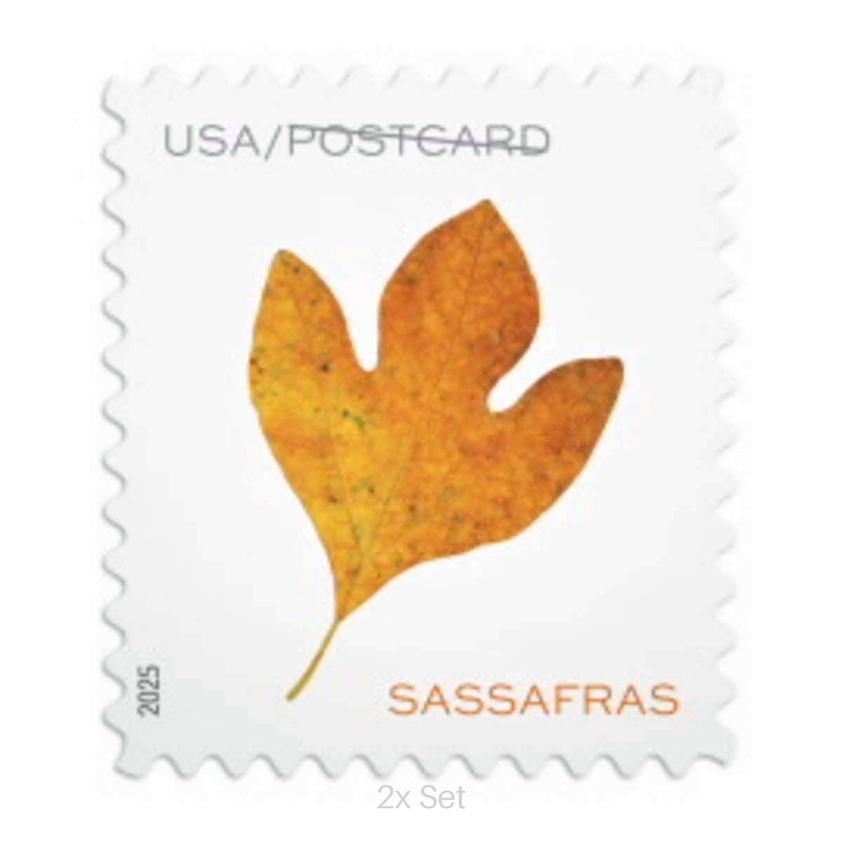 Economy Vibrant Leaves Postcard Stamps Seasonal Route Marketing & Service Promotion Pack || Postcard® Postage 200Pcs