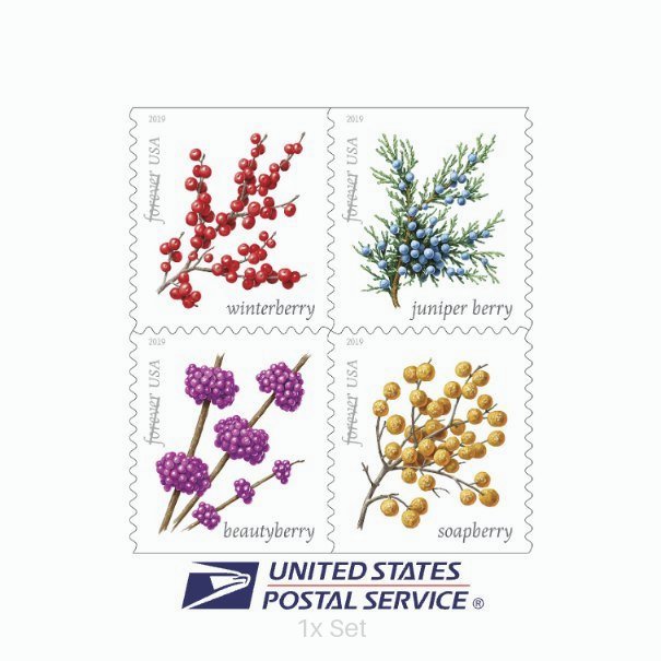 Bulk Winter Berries Stamps Fiscal Reporting & Tax Season Compliance Logistics || 100Pcs (5 Books)