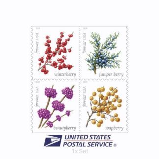 Authentic Winter Berries Stamps Formal Legal Notices & Professional Document Delivery || 100Pcs (5 Books)