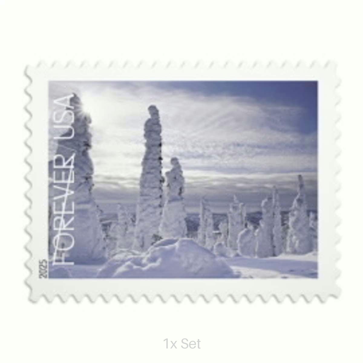 Cheap Winter Landscapes Stamps Civic Engagement & Voting Ballot Logistics Pack || 100Pcs (5 Books)